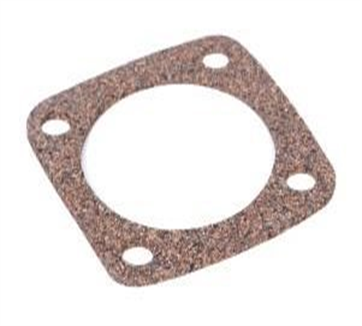 ŞANZIMAN CONTA (MANTAR)