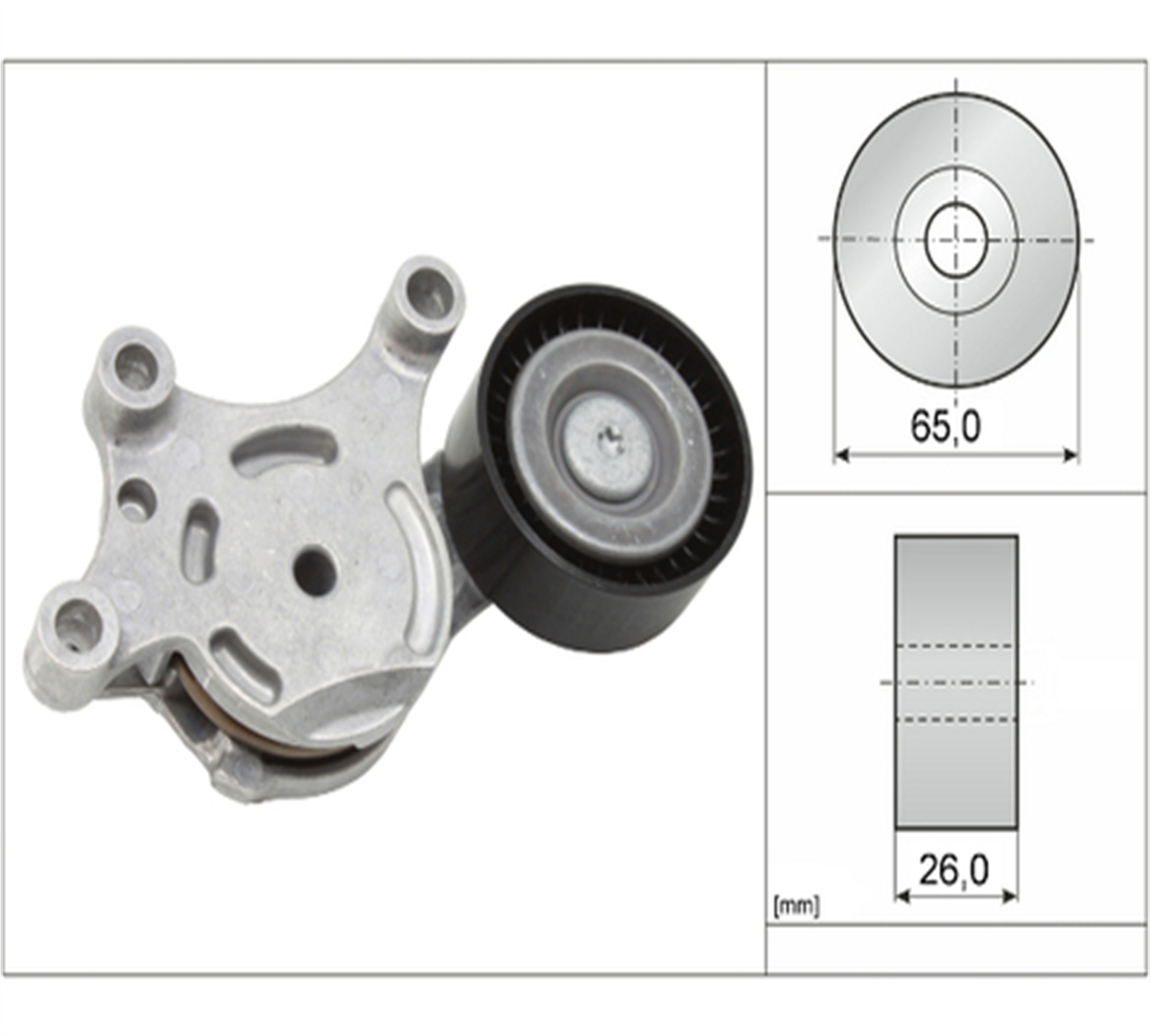 PEUGEOT CITROEN V KAYIŞ GERGİSİ