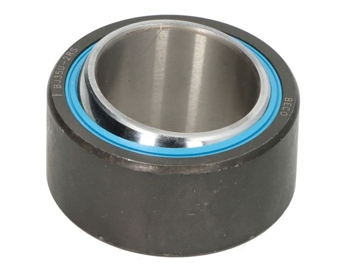 PASLANMAZ DANA GÖZÜ